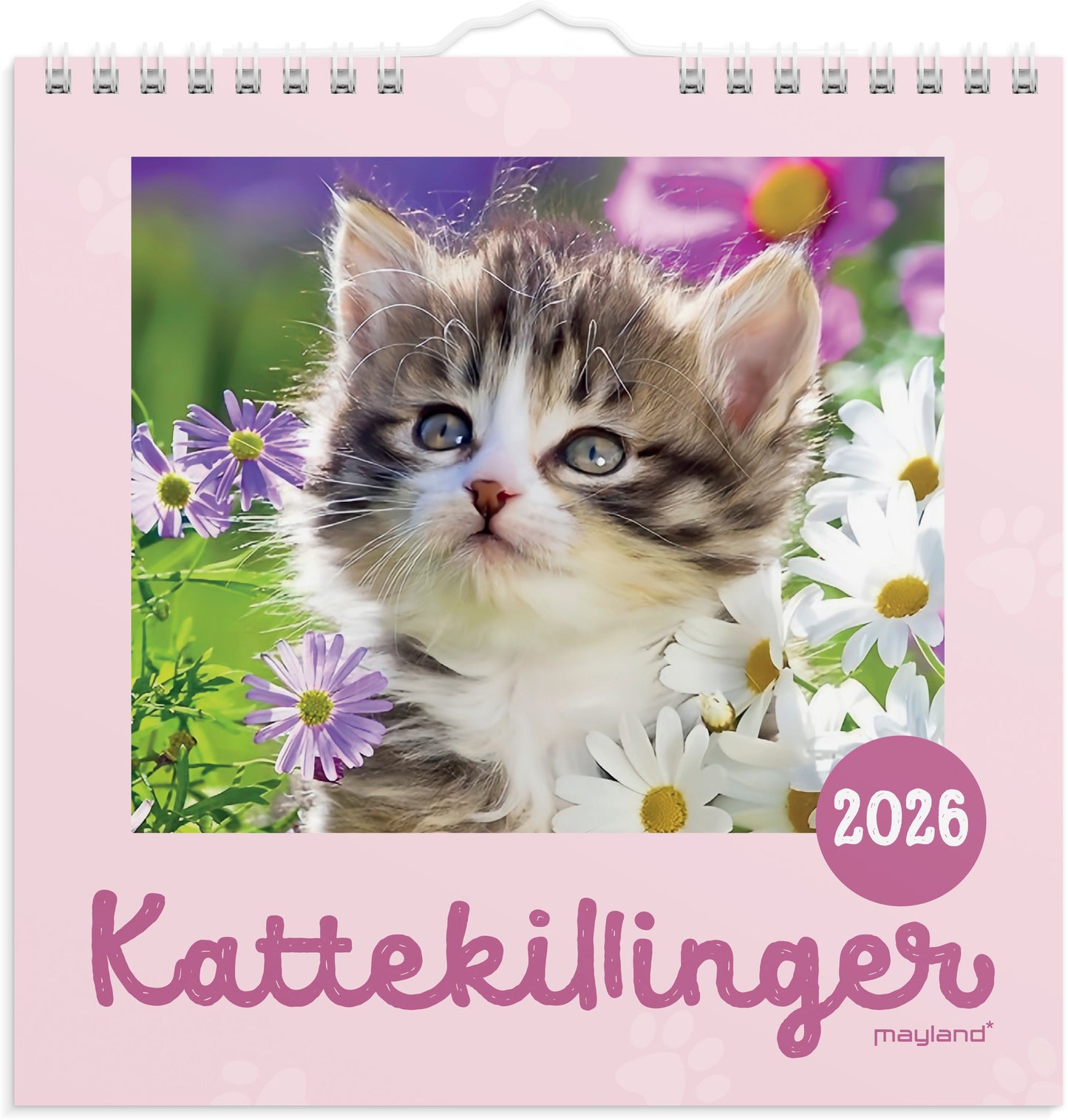 VÆGKALENDER MINI KATTEKILLINGER 2026