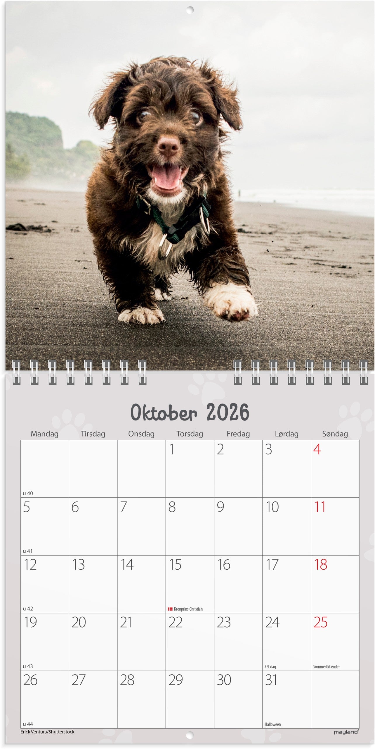 VÆGKALENDER MINI HUNDEHVALPE 2026