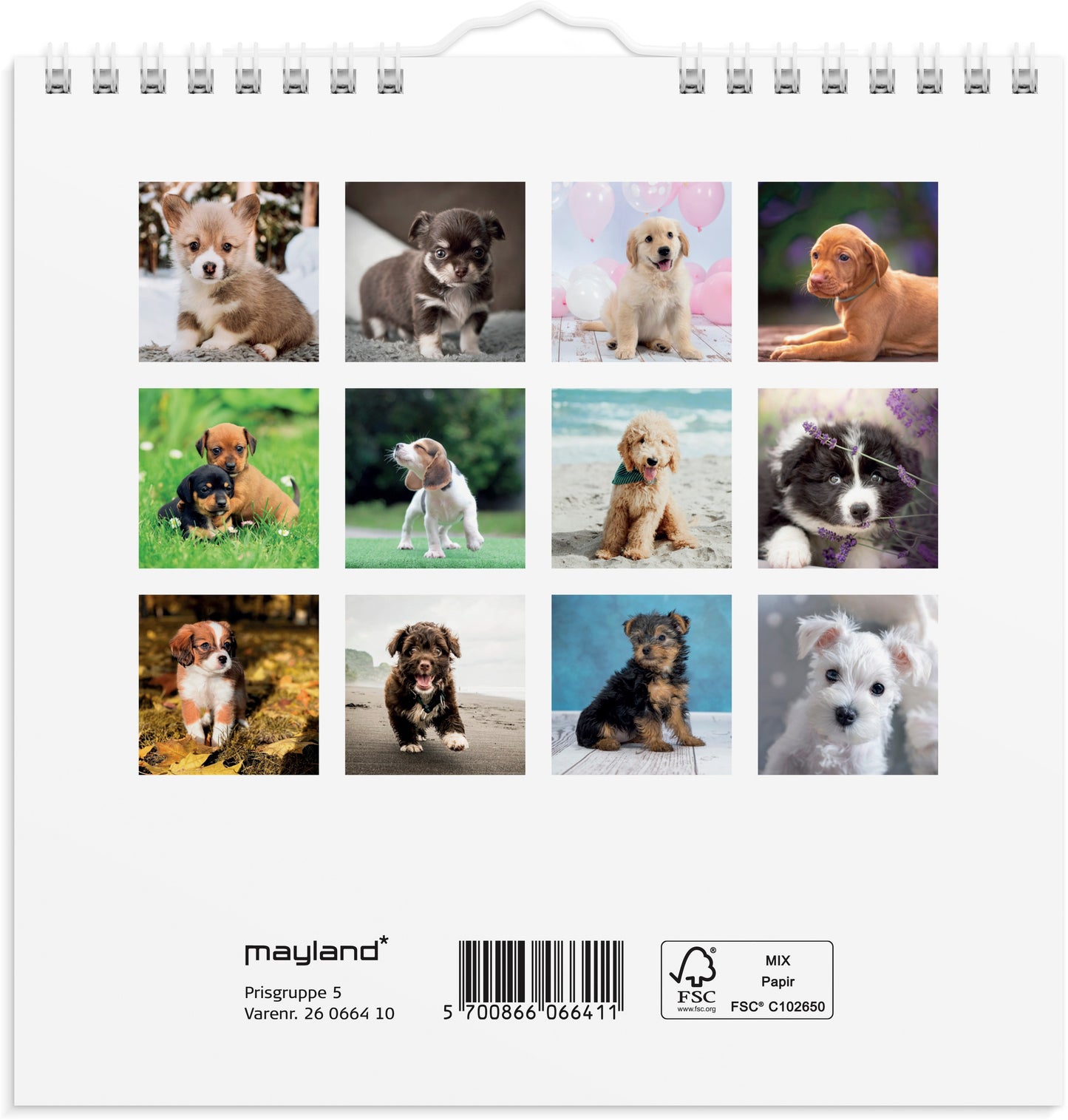 VÆGKALENDER MINI HUNDEHVALPE 2026