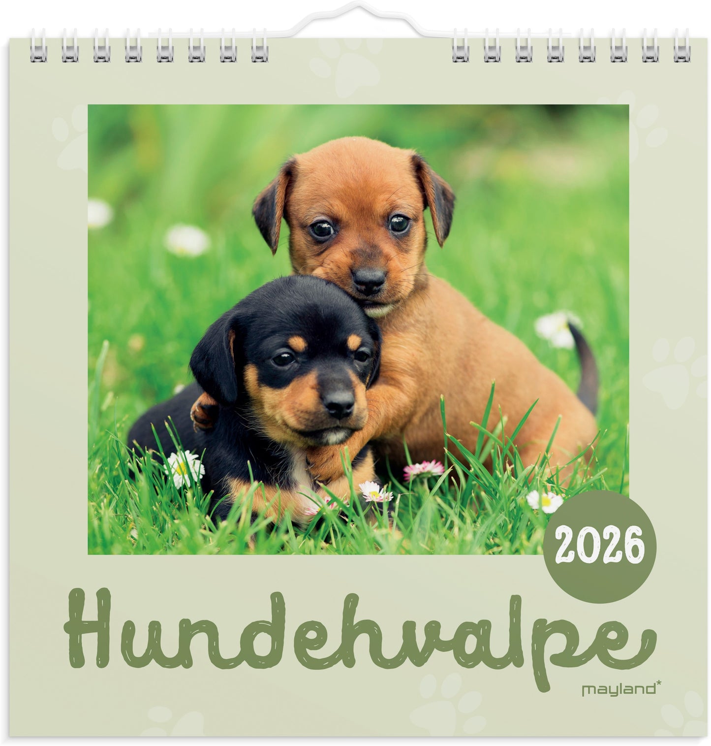 VÆGKALENDER MINI HUNDEHVALPE 2026