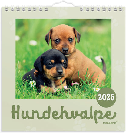 VÆGKALENDER MINI HUNDEHVALPE 2026