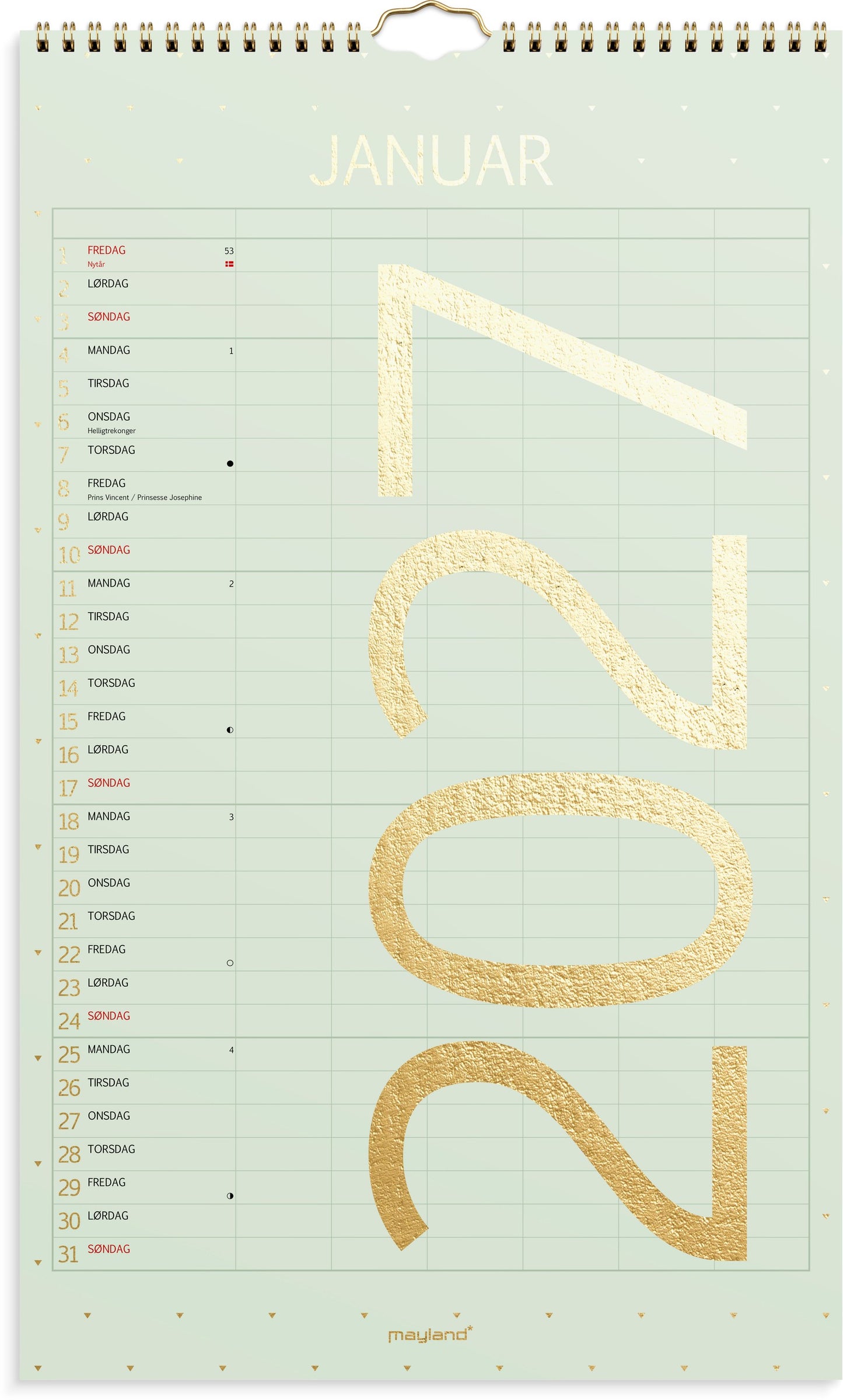 FAMILIEKALENDER COLOR STOR 2027