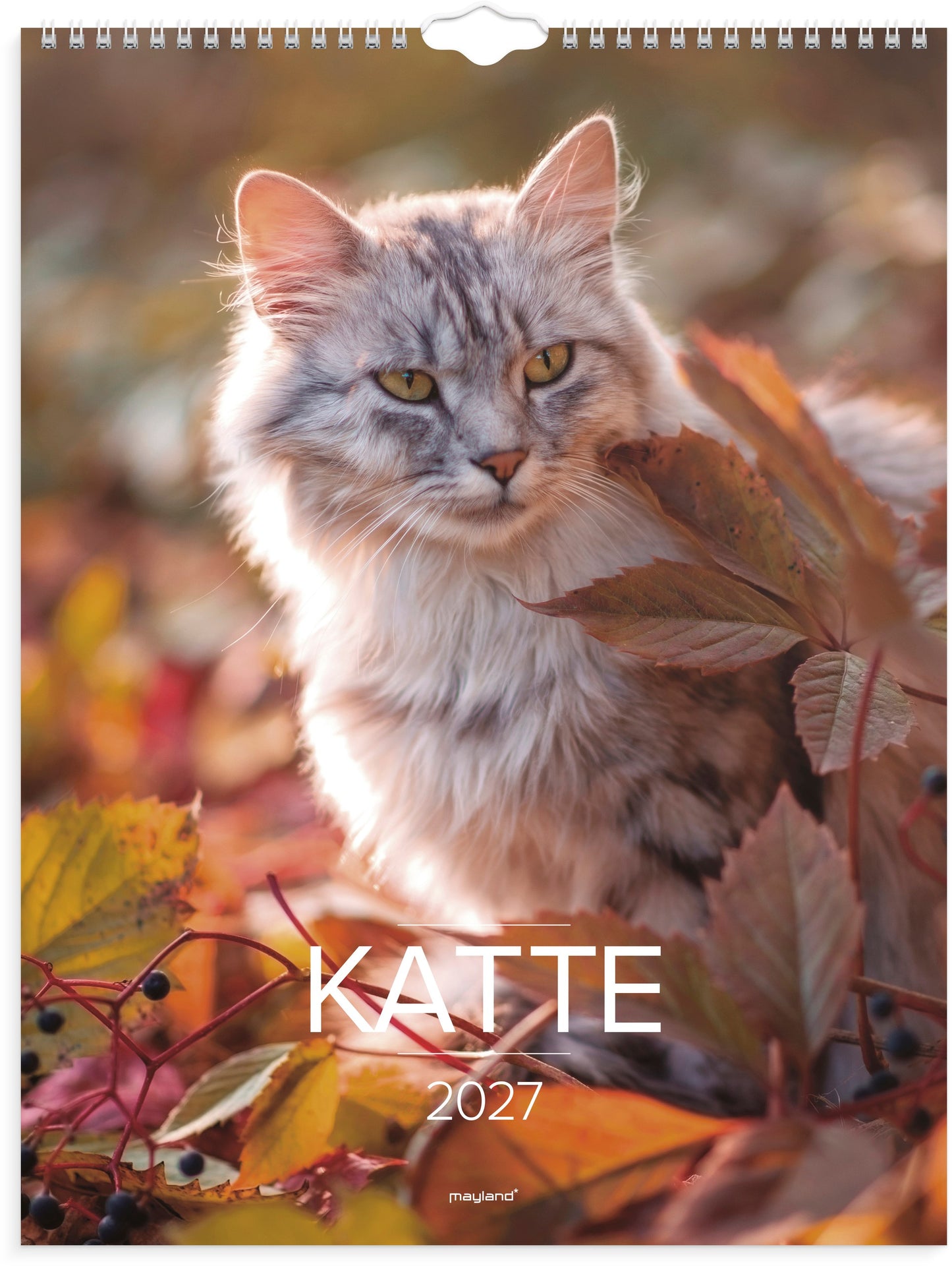 VÆGKALENDER KATTE 2027