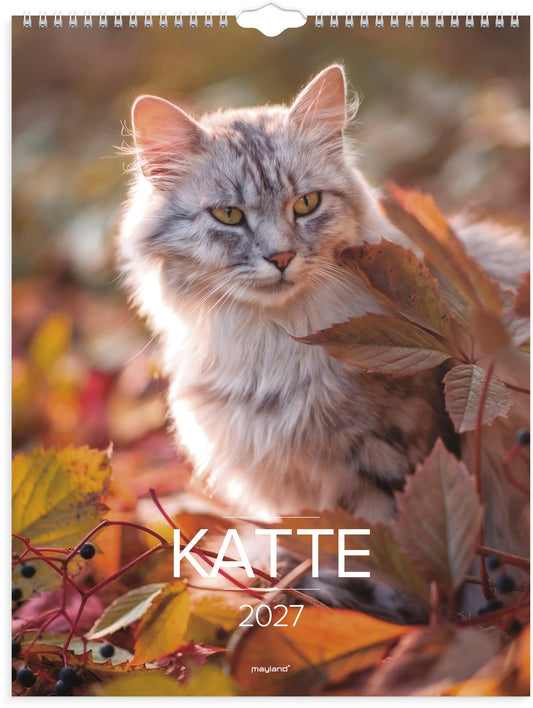 VÆGKALENDER KATTE 2027