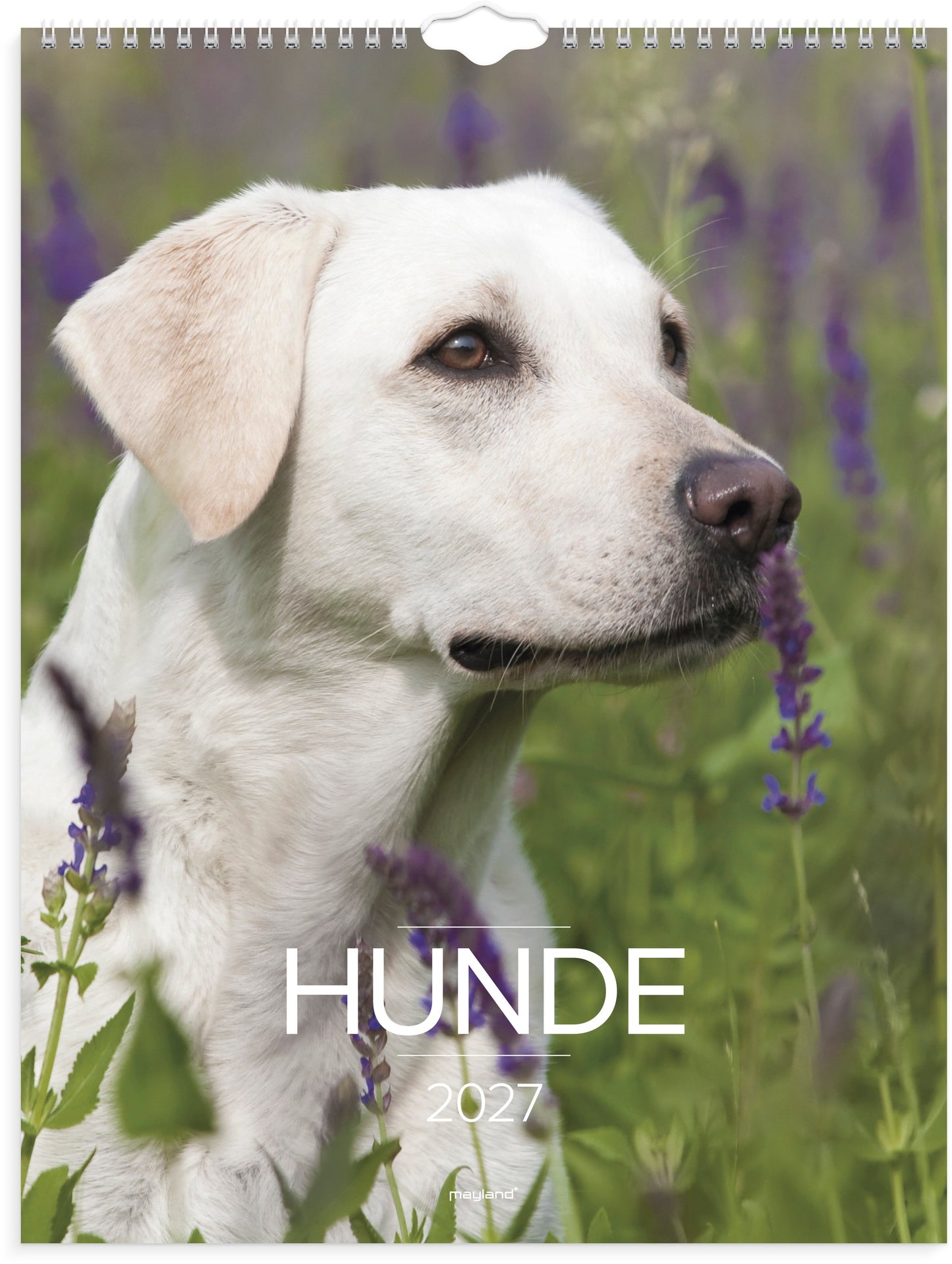 VÆGKALENDER HUNDE 2027