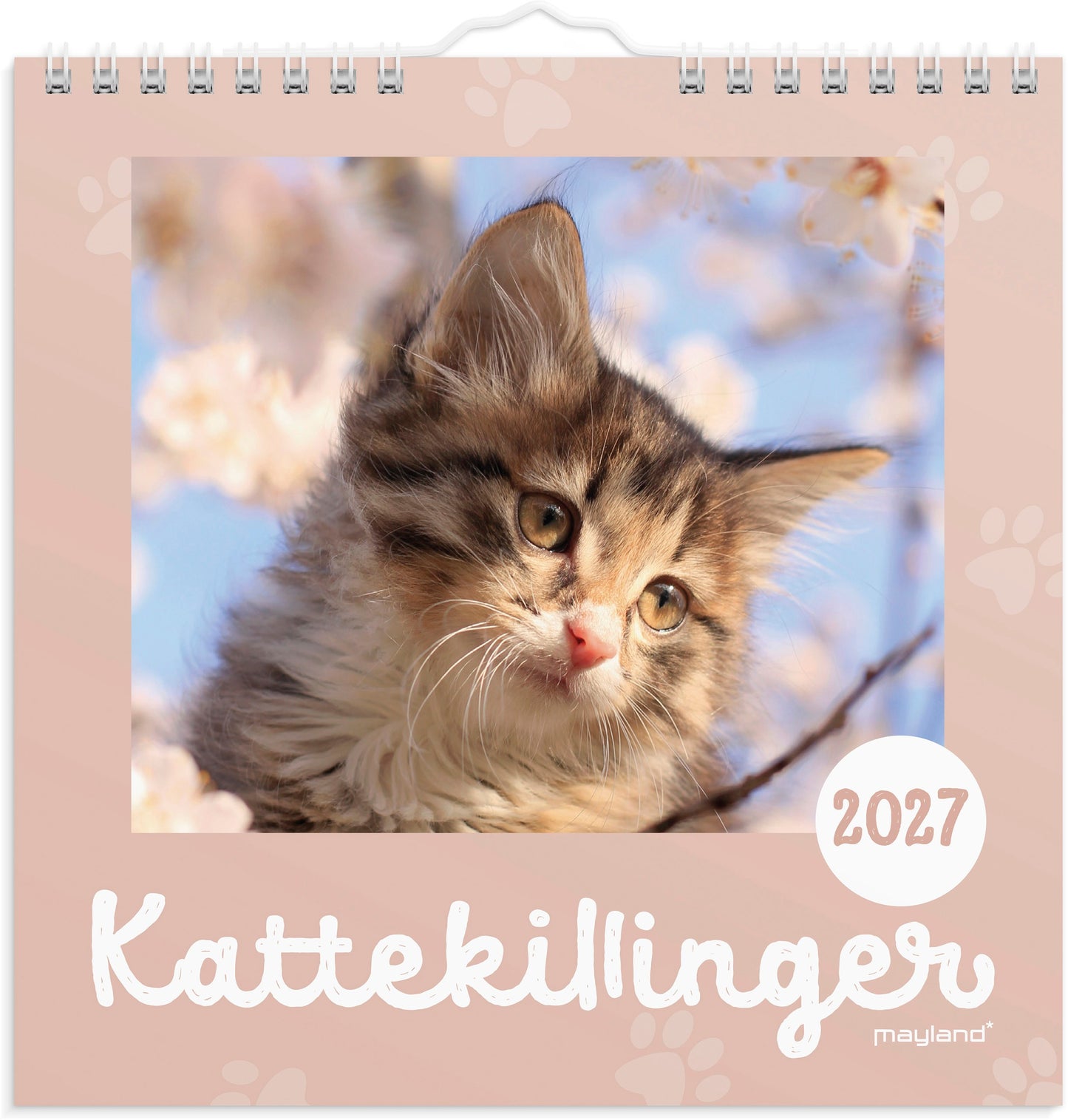 VÆGKALENDER MINI KATTEKILLINGER 2027