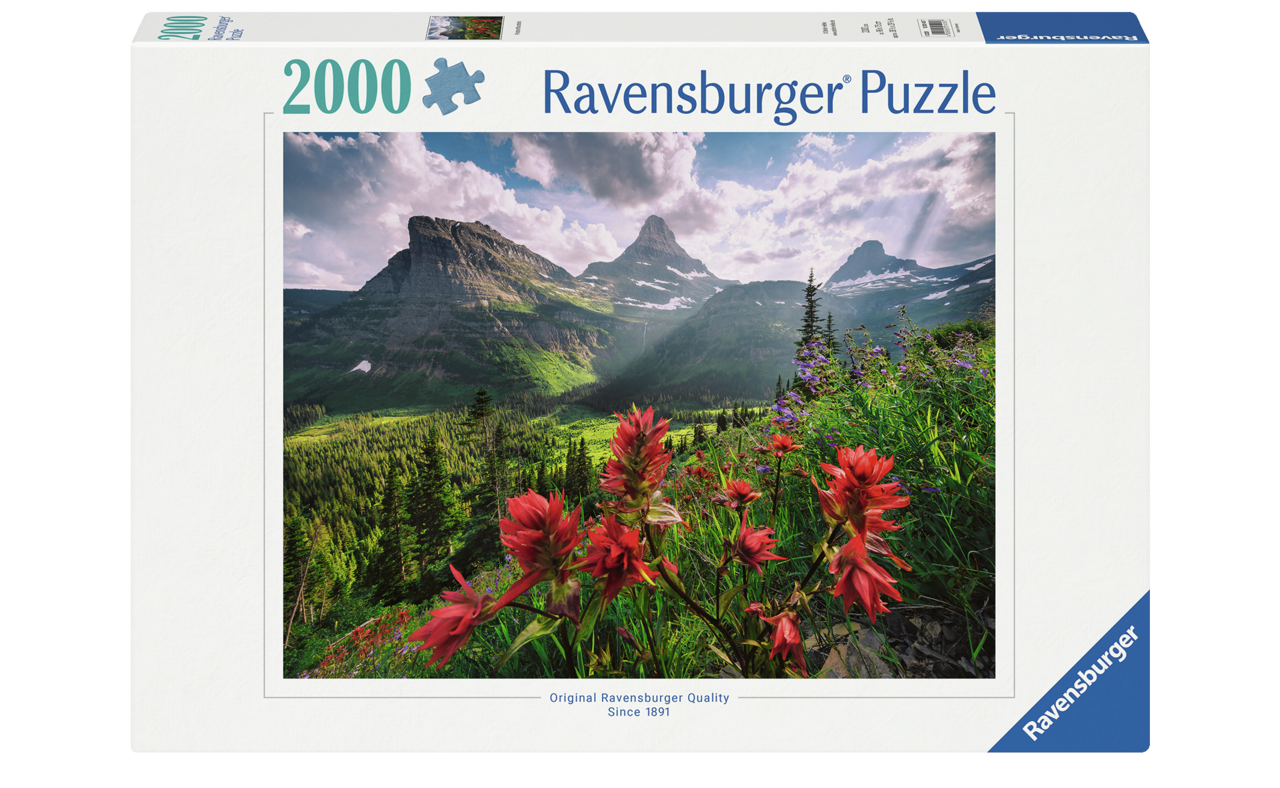 PRISTINE MOUNTAINS 2000 BRIKKER