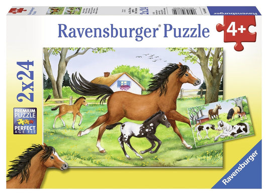 WORLD OF HORSES 2X24 BRIKKER