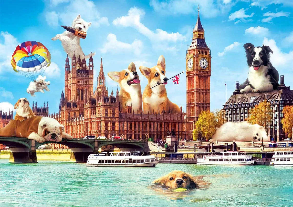 PUSLE FUNNY CITIES 1000 BRK