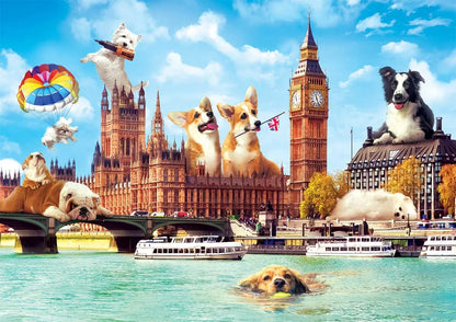 PUSLE FUNNY CITIES 1000 BRK