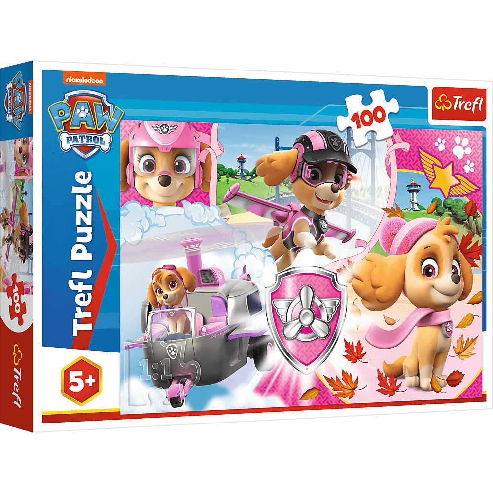 TREFL PAW PATROL 100 BRIKKER