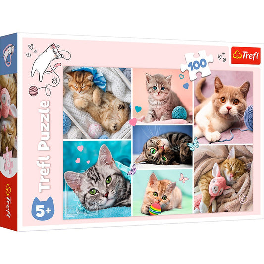 TREFL IN THE CAT WORLD 100 BRIKKER