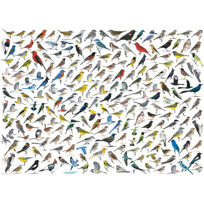 EUROGRAPHS THE WORLD OF BIRDS 1000 BRIKKER