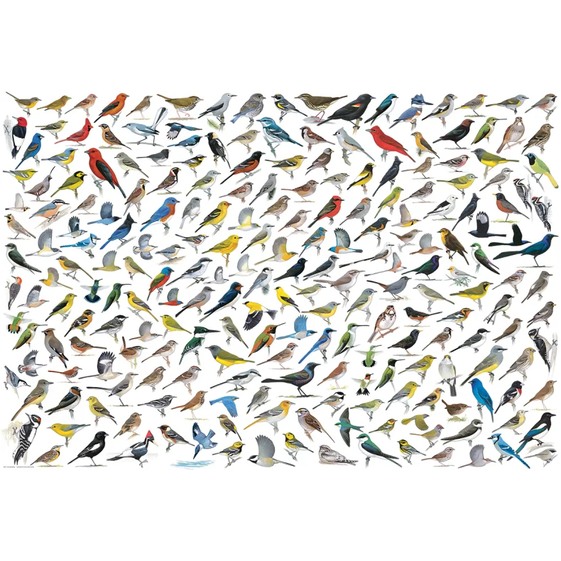 WORLD OF BIRDS 2000 BRIKKER