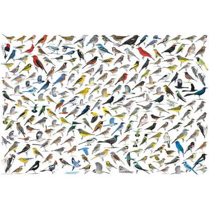 WORLD OF BIRDS 2000 BRIKKER