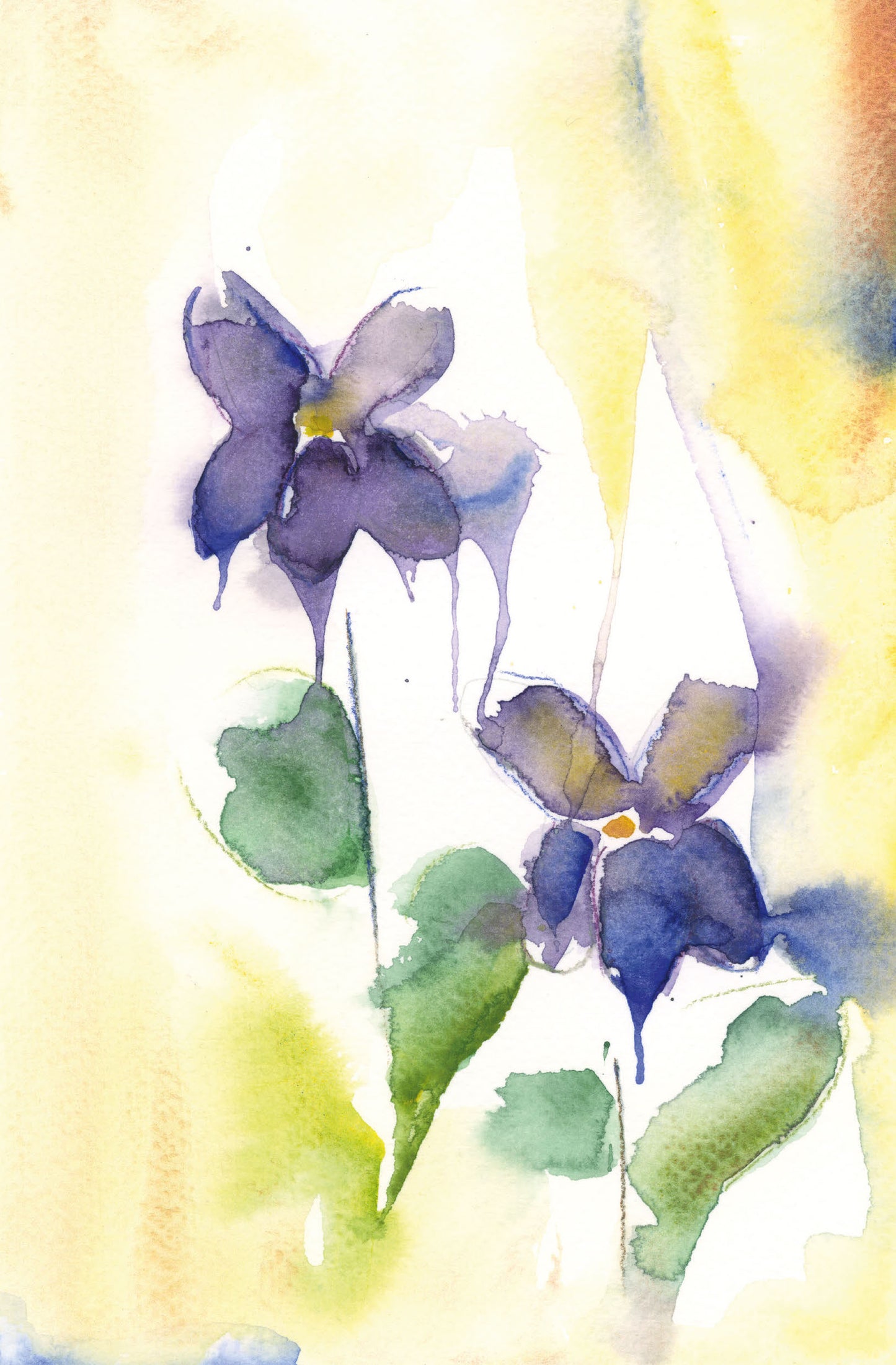 FØDSELSBLOMST VIOL - FEBRUAR (A5 KORT)