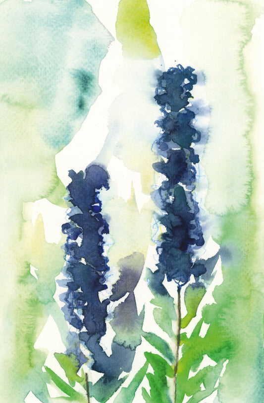 FØDSELSBLOMST RIDDERSPORE - JULI (A5 KORT)