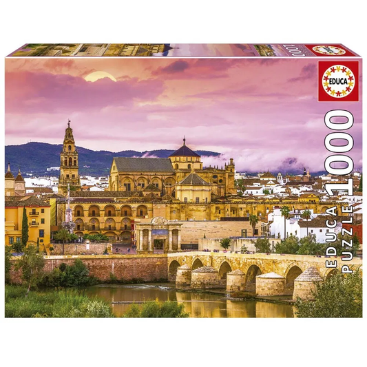 EDUCA CORDOBA 1000 BRIKKER