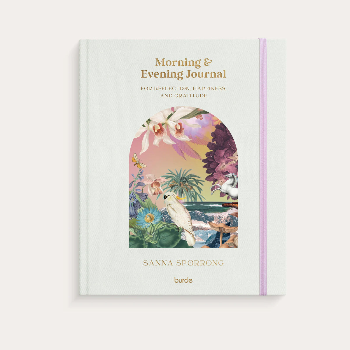 MORNING & EVENING JOURNAL