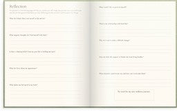 THE WELLNESS PLANNER