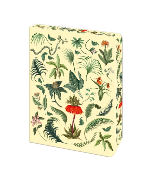 FERN JOURNAL
