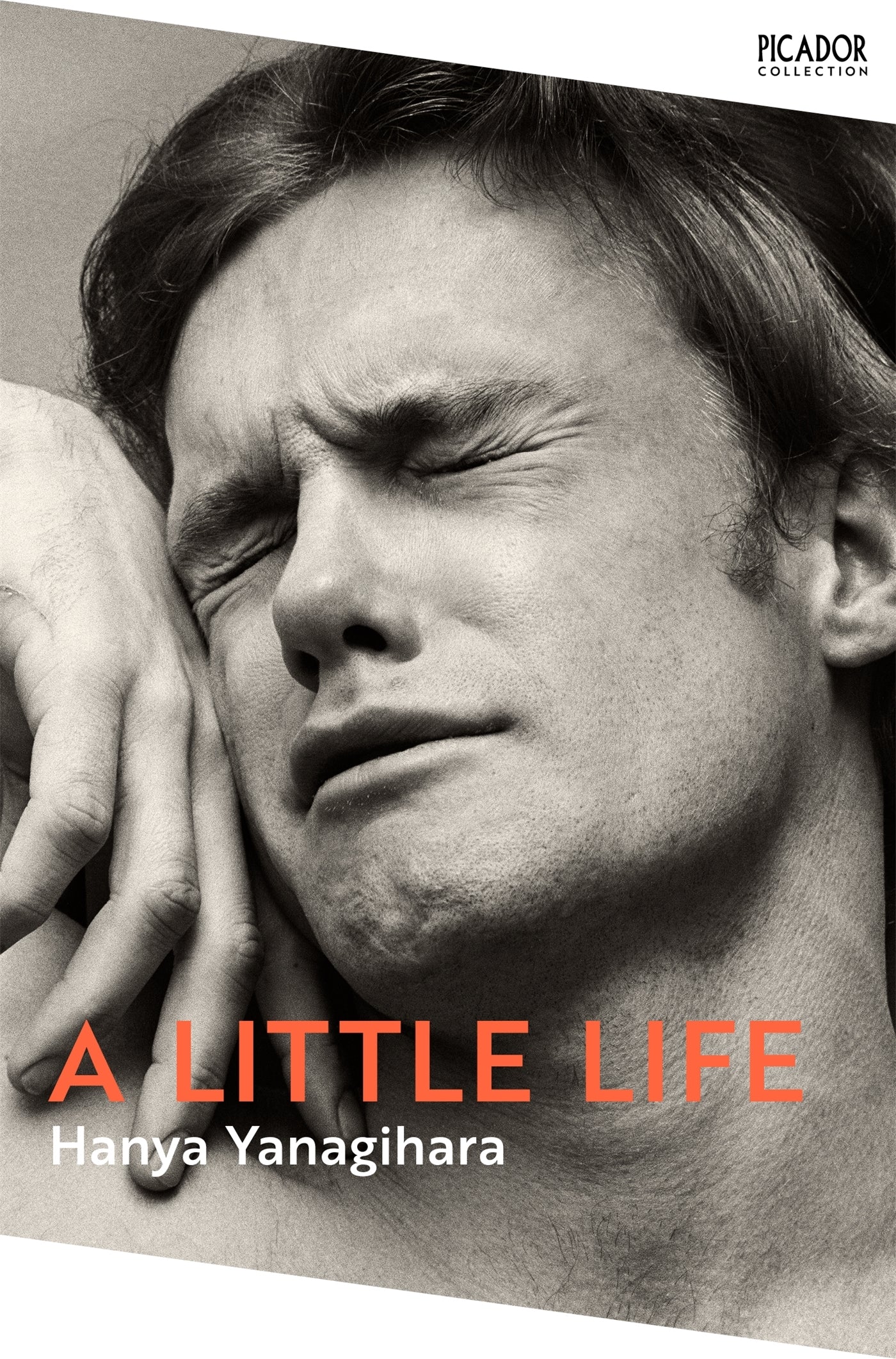 A LITTLE LIFE - PB