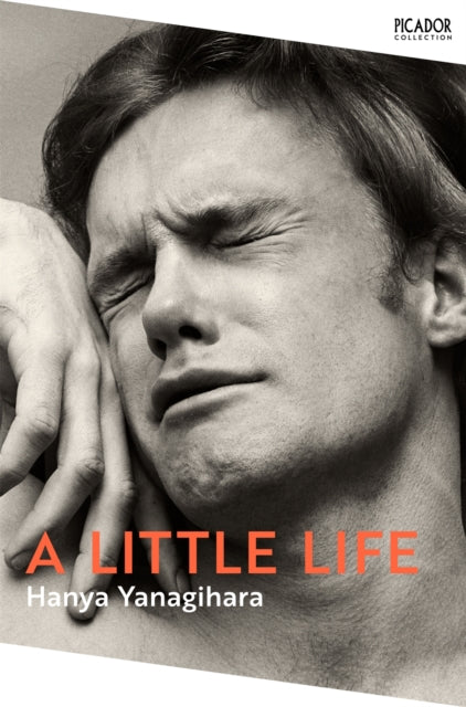 A LITTLE LIFE - PB