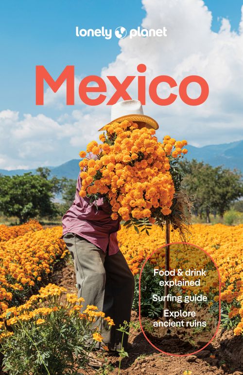 LONELY PLANET MEXICO