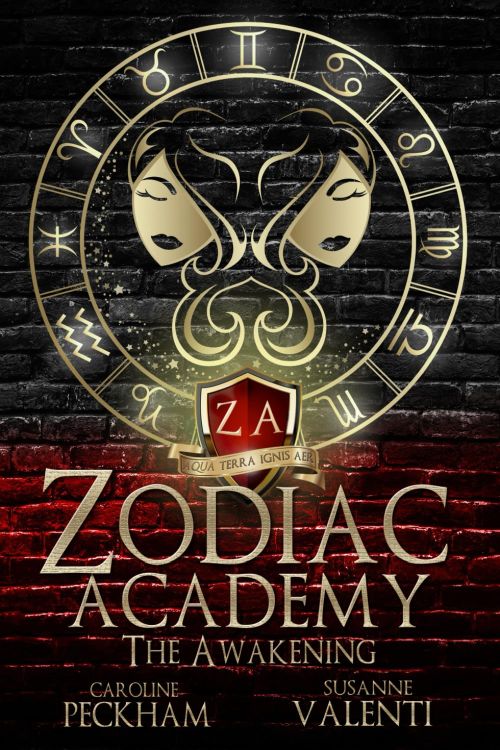 ZODIAC ACADEMY VOL 1