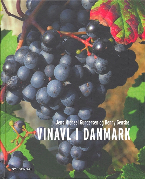 VINAVL I DANMARK