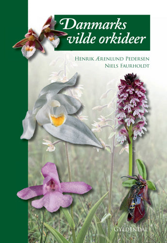 DANMARKS VILDE ORKIDÉER