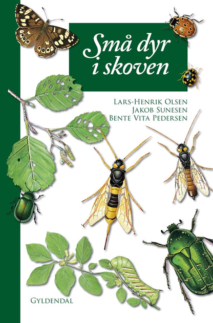 SMÅ DYR I SKOVEN