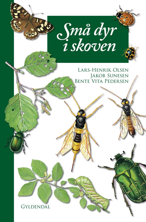 SMÅ DYR I SKOVEN