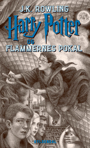 HARRY POTTER OG FLAMMERNES POKAL