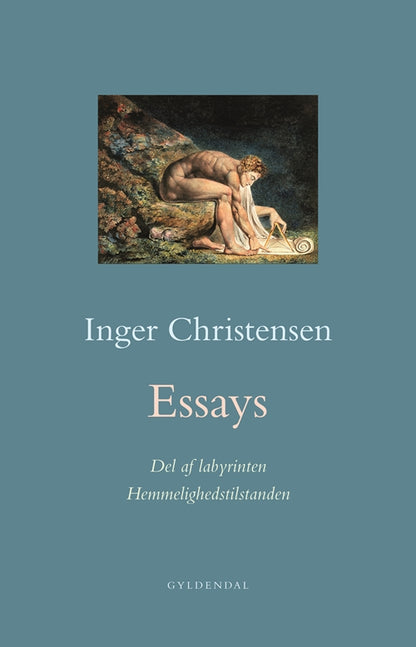 ESSAYS