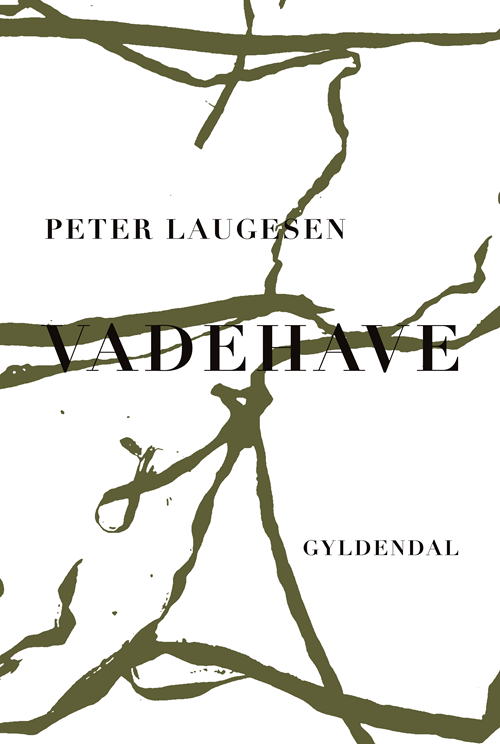 VADEHAVE