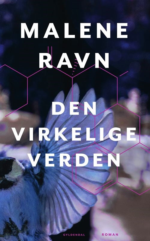 DEN VIRKELIGE VERDEN
