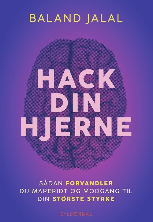 HACK DIN HJERNE