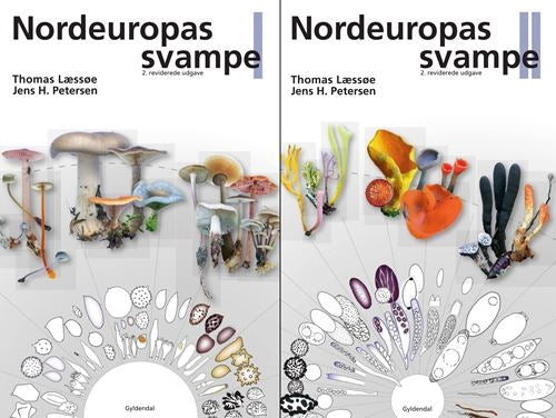 NORDEUROPAS SVAMPE