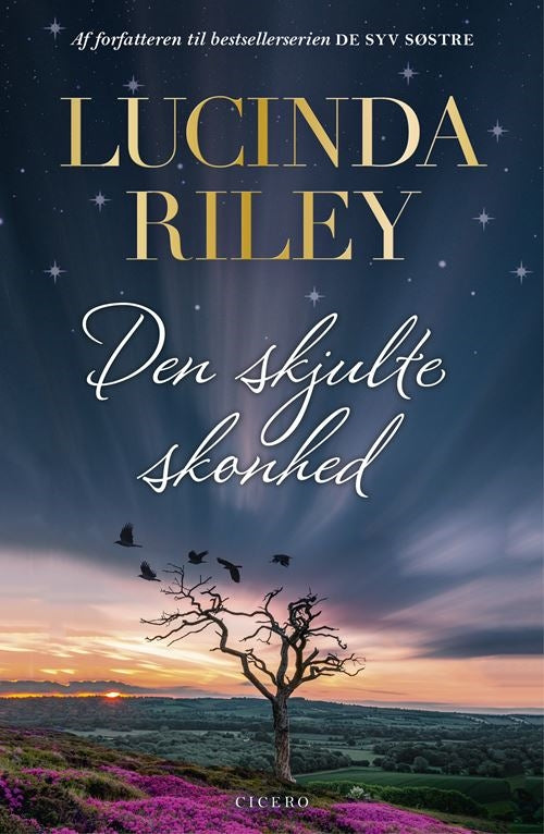 DEN SKJULTE SKØNHED 