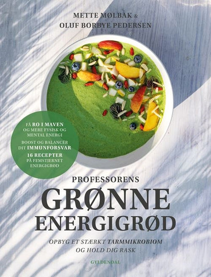 PROFESSORENS GRØNNE ENERGIGRØD