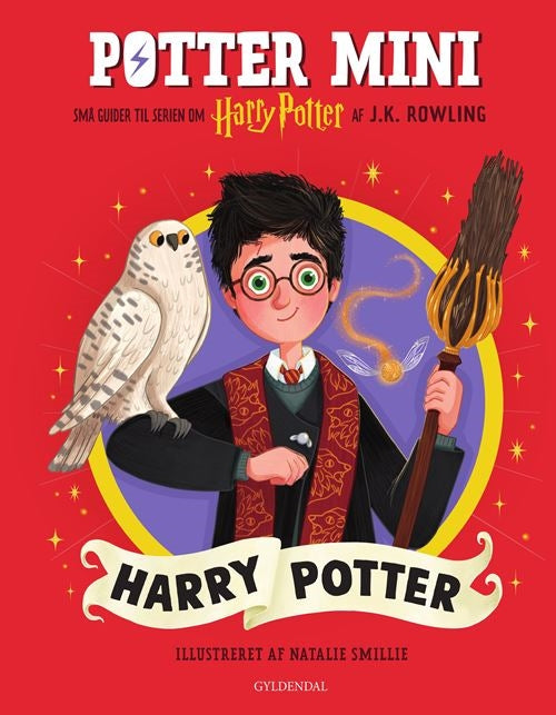 POTTER MINI - HARRY POTTER