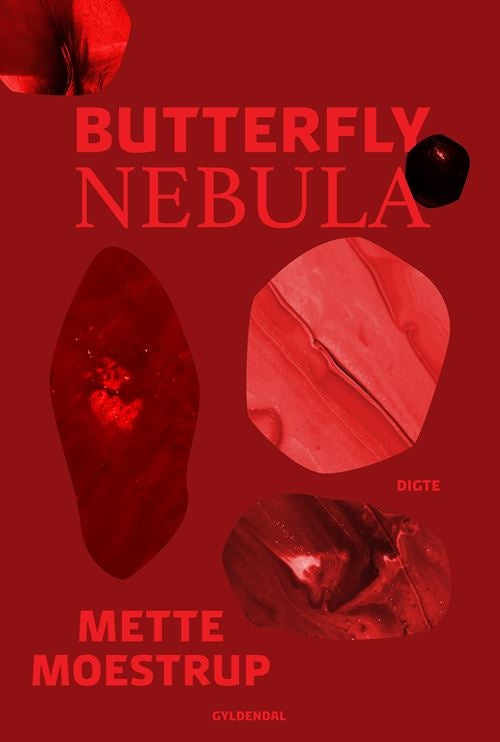 BUTTERFLY NEBULA