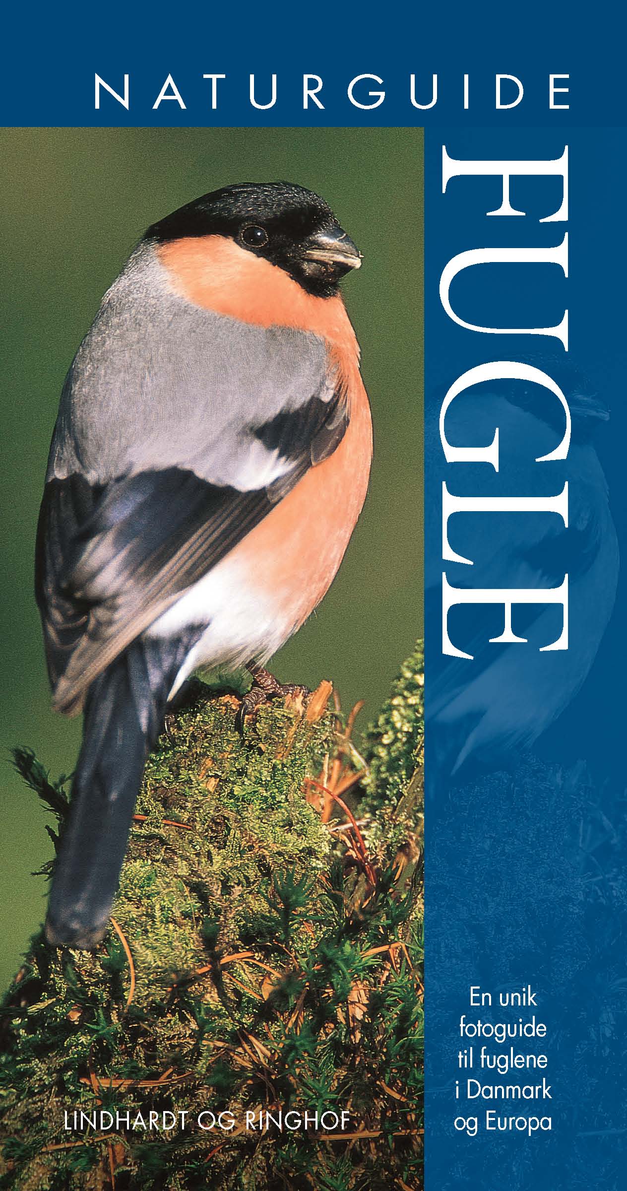 NATURGUIDE FUGLE