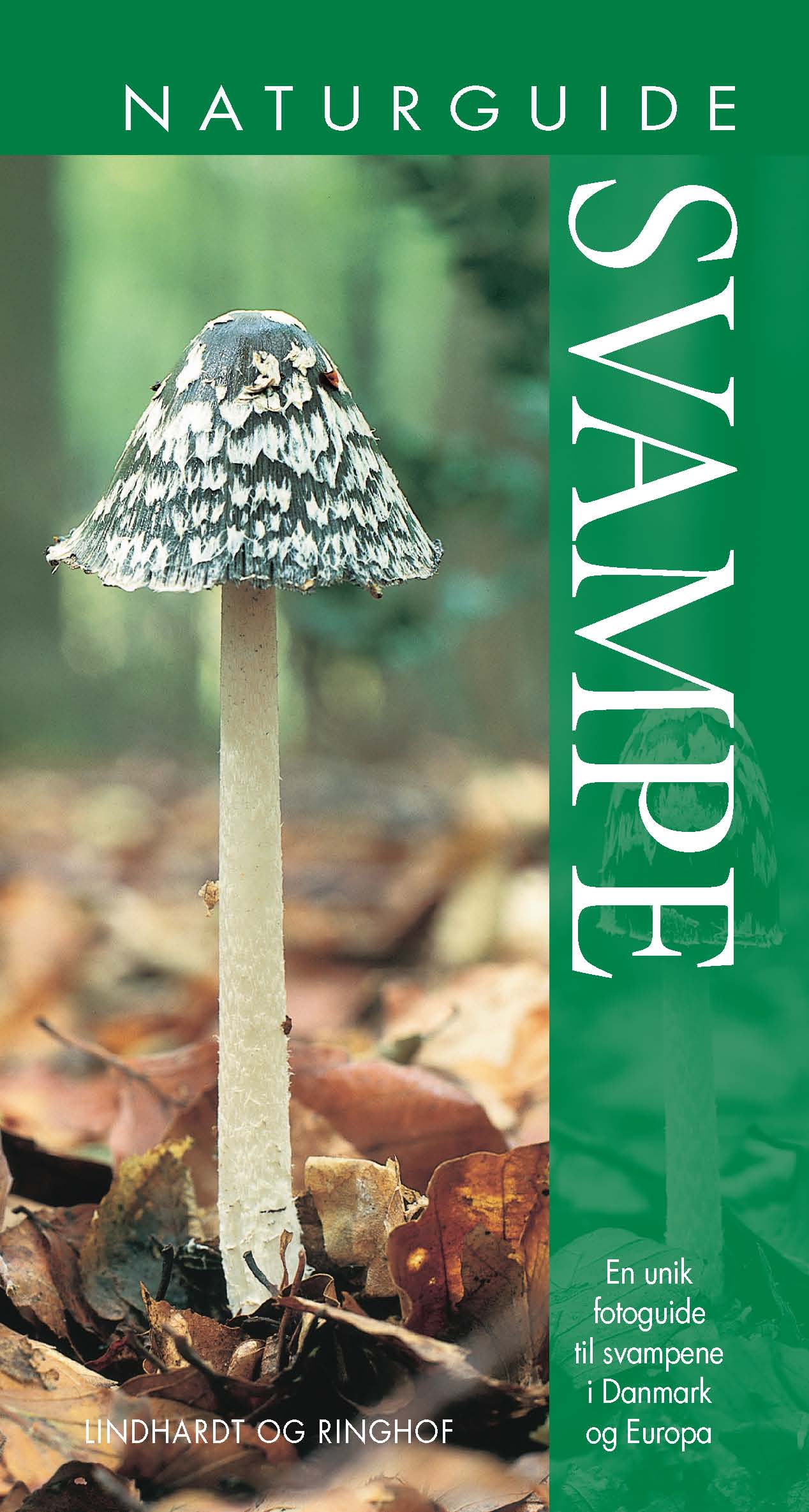 NATURGUIDE SVAMPE