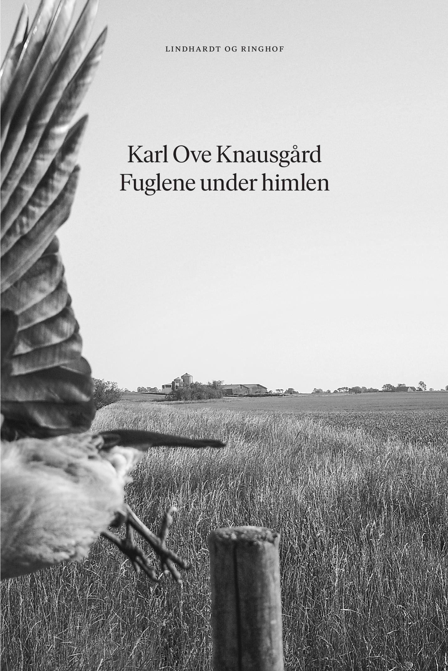 FUGLENE UNDER HIMLEN