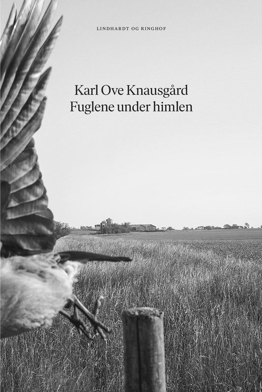 FUGLENE UNDER HIMLEN