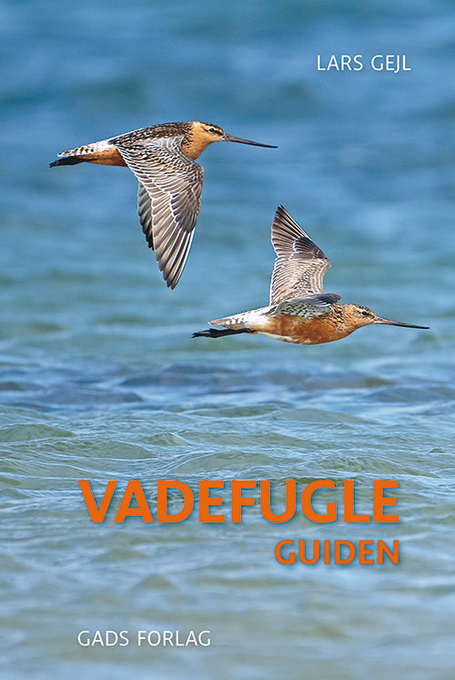 VADEFUGLE