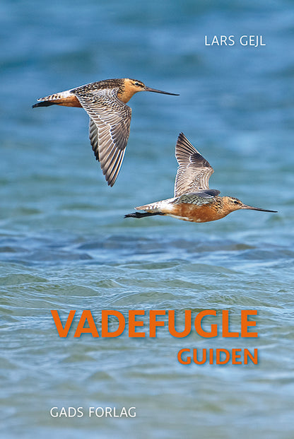VADEFUGLE