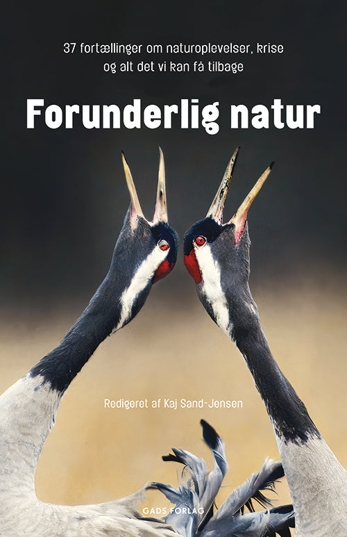 FORUNDERLIG NATUR